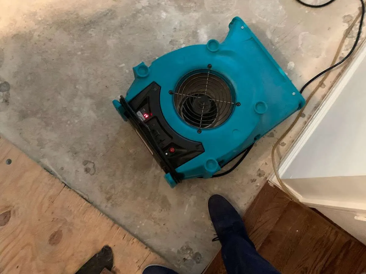 Air mover drying subfloor during Leak Detection & Repair in Trenton